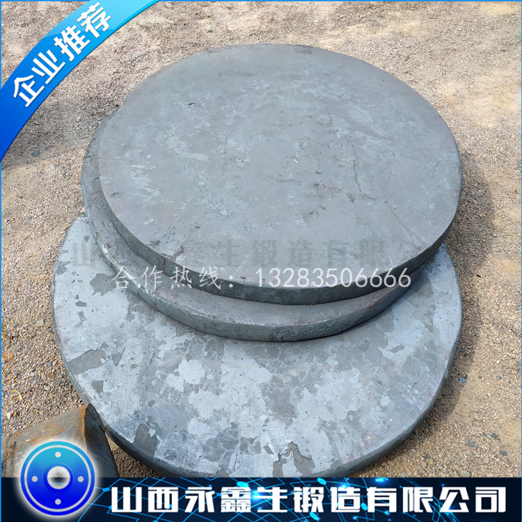 反應(yīng)氣體冷卻器設(shè)備鍛造管板
